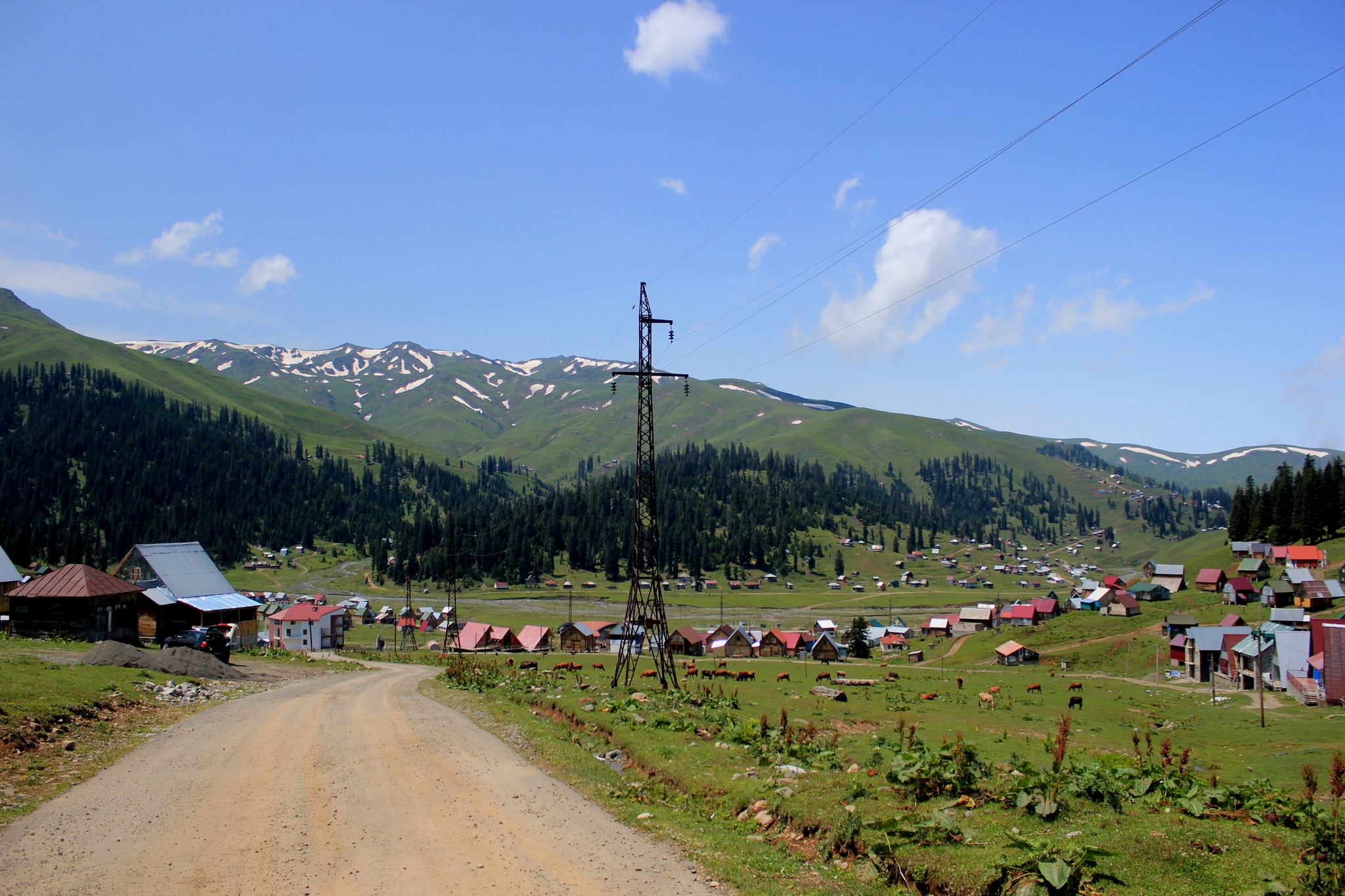 Bakhmaro. Georgia - My, Georgia, Tbilisi, Longpost