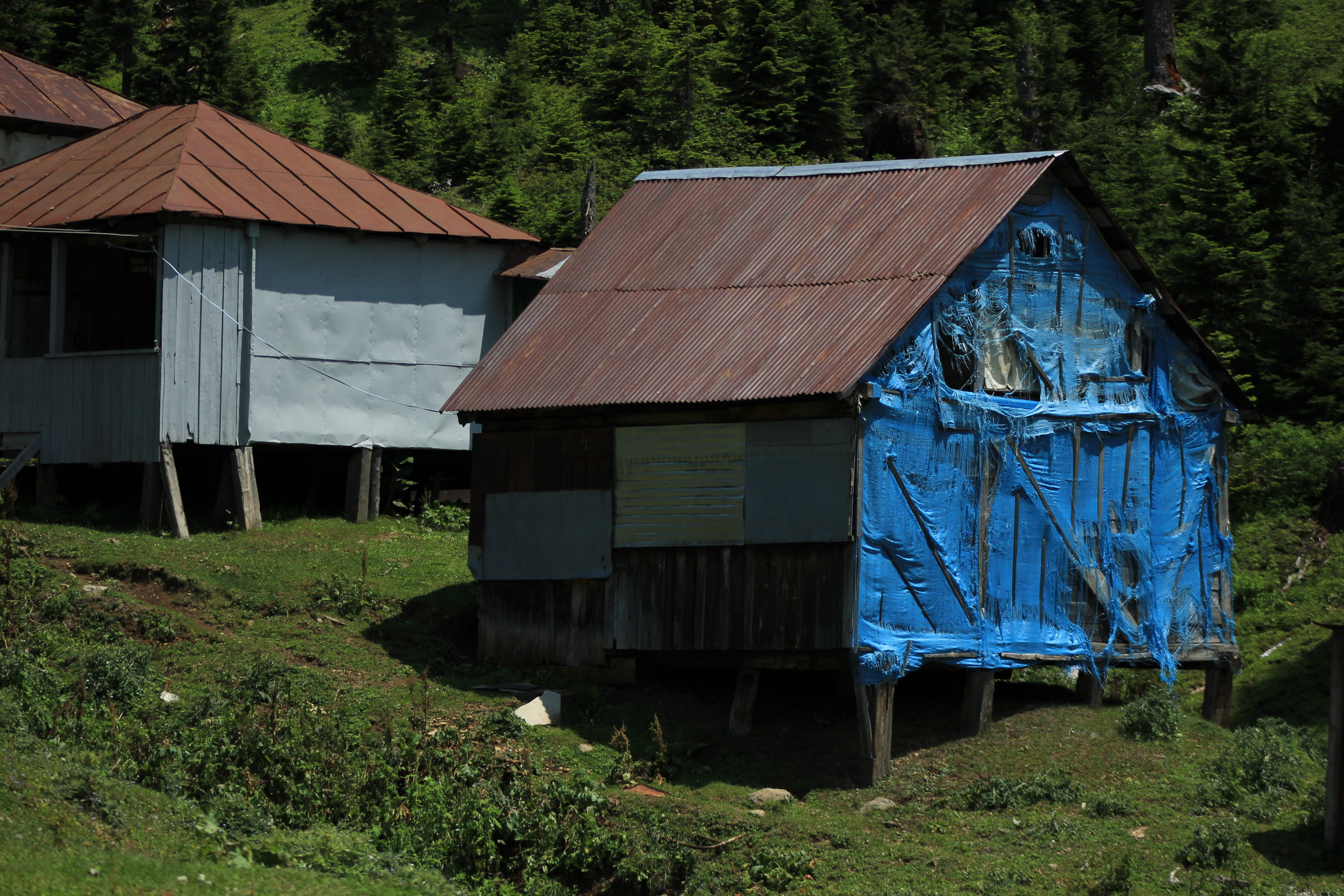 Bakhmaro. Georgia - My, Georgia, Tbilisi, Longpost