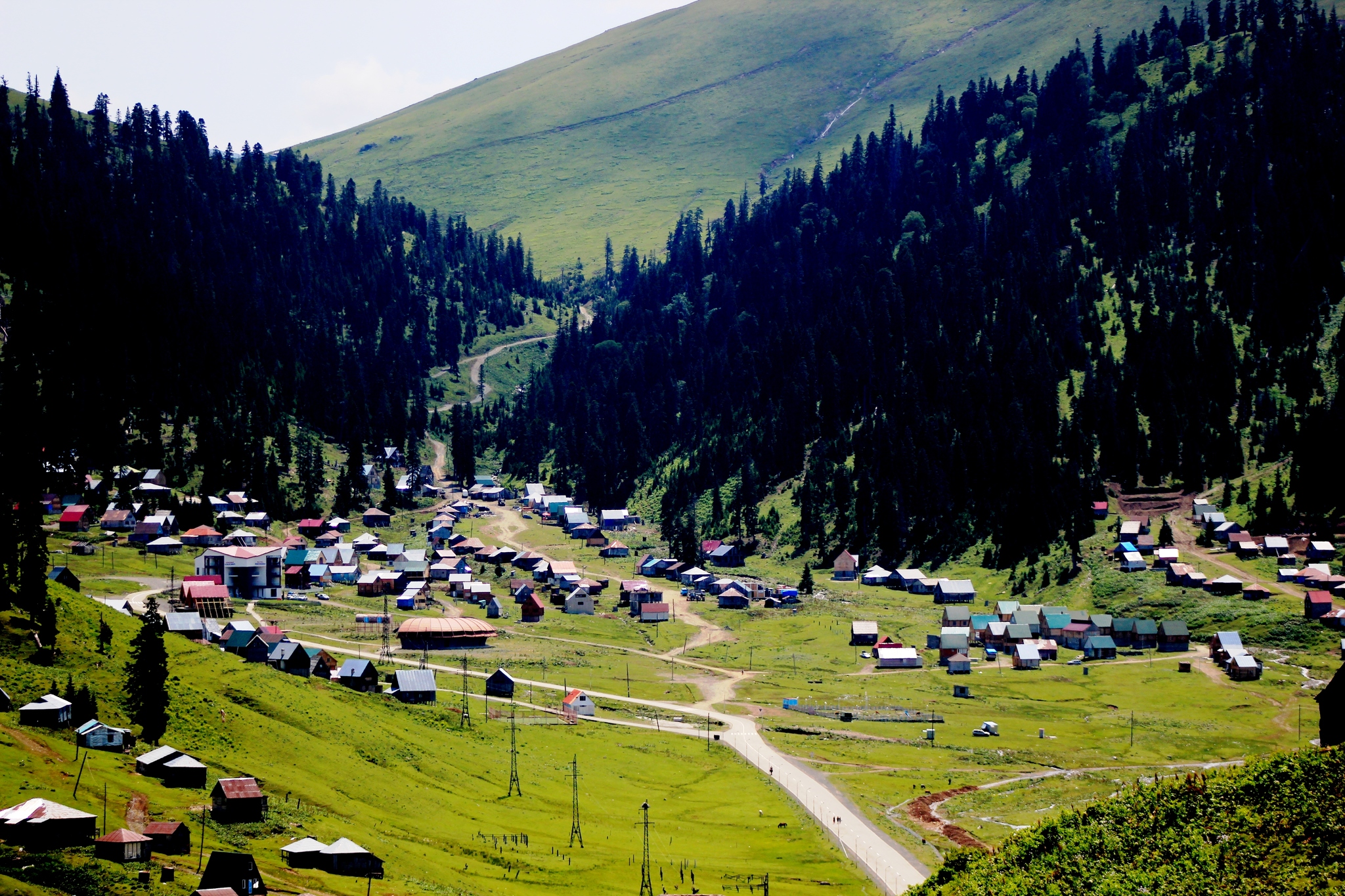 Bakhmaro. Georgia - My, Georgia, Tbilisi, Longpost