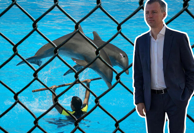 “We say goodbye to this idea”: Volgograd abandoned the idea of ????building a dolphinarium - Kindness, Deputies, Dolphinarium, Animals, news, Russia, Volgograd, Longpost