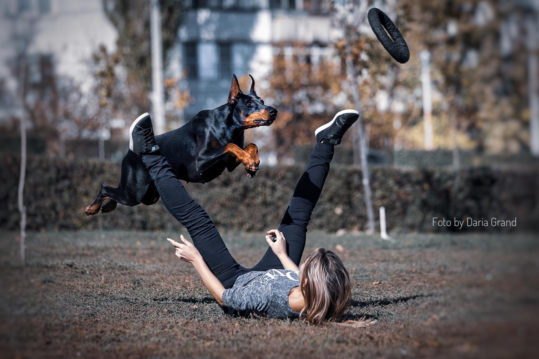 Fun cynology - My, Doberman, Trick, Dog