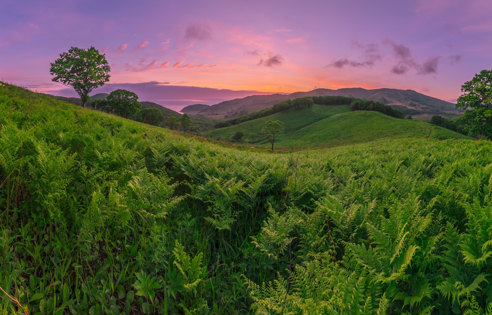 Nakhodka Hills - My, Find, Primorsky Krai, Дальний Восток, Beginning photographer, Sunset, The photo, Hills, Nature