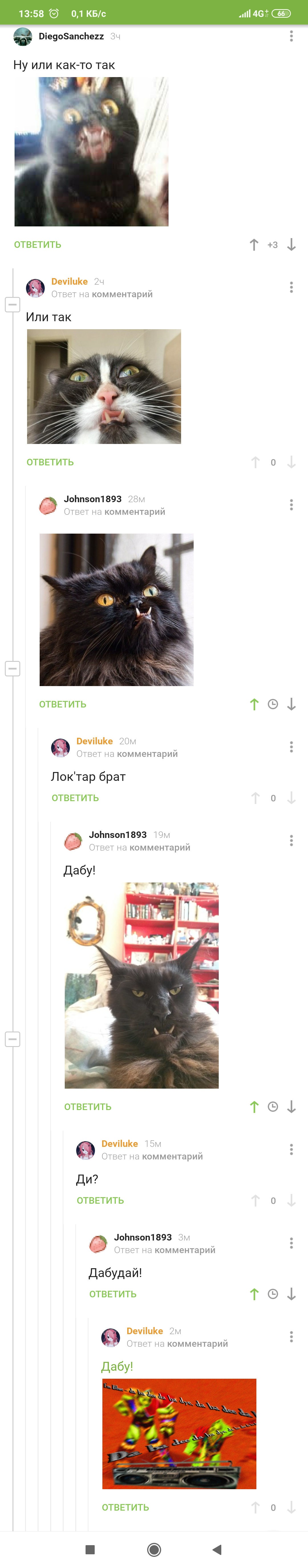 Daboo! Di? - cat, Tag for beauty, Comments, Longpost, Screenshot