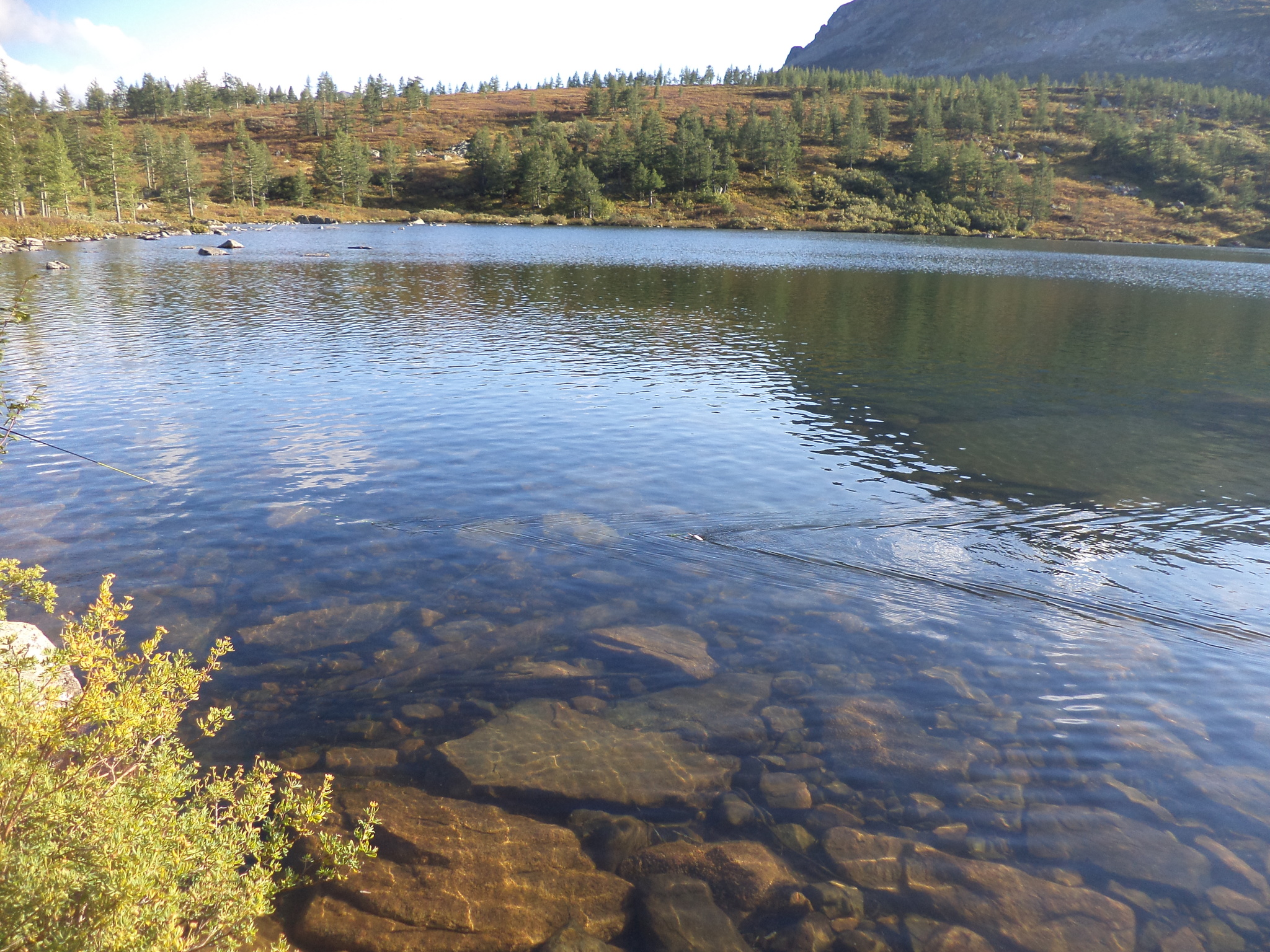 Survival in the Siberian taiga - Hike, Tourism, Fishing, Golden Valley, Kuznetsk Alatau, Video, Longpost