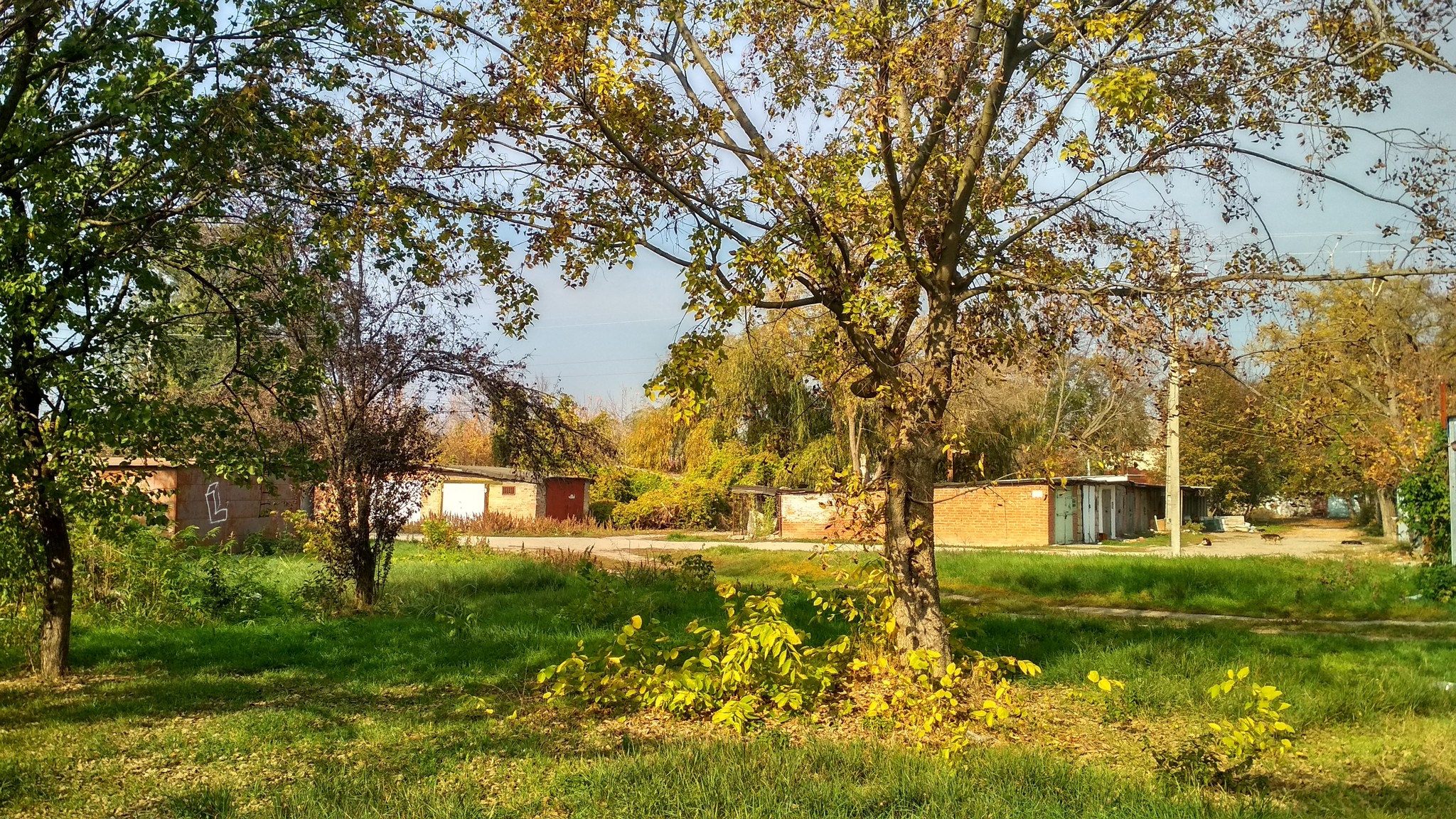 Autumn comfort of a small town - My, Autumn, The photo, Landscape, Town, beauty, Nature, Kuban, Longpost