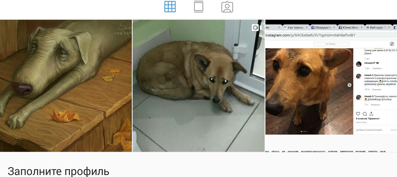 SHASTI, THE DOG WITH THE KIND EYES OF THE SAD FAIRY IS LOOKING FOR A HOME - In good hands, Dog, Video, Longpost, Moscow, No rating