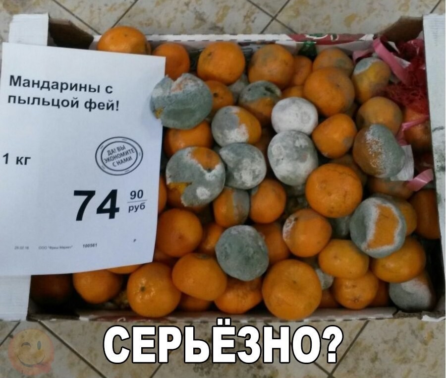 Tangerines - Images, Humor