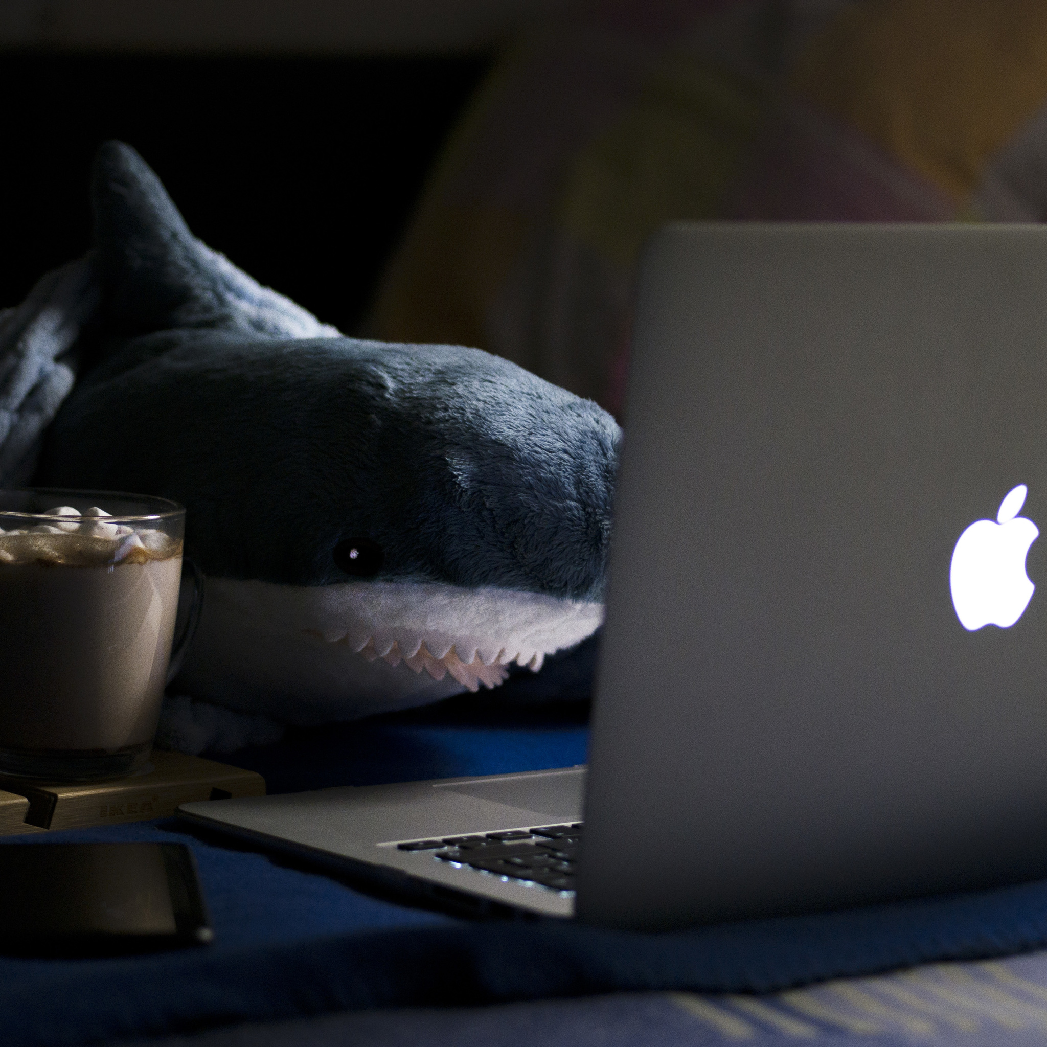 Shark Tuna - lifestyle blogger - My, Shark, Plush Toys, The photo, Autumn, Blohey, IKEA, Instagram, Video, Longpost