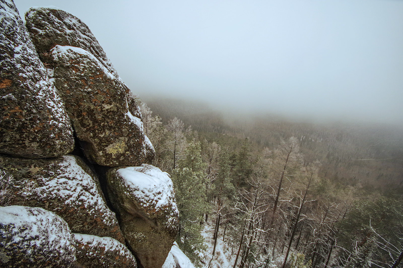 We went overnight to Stolby - My, Health, Krasnoyarsk pillars, Michael, The photo, Travels, Holidays in Russia, Leisure, Longpost