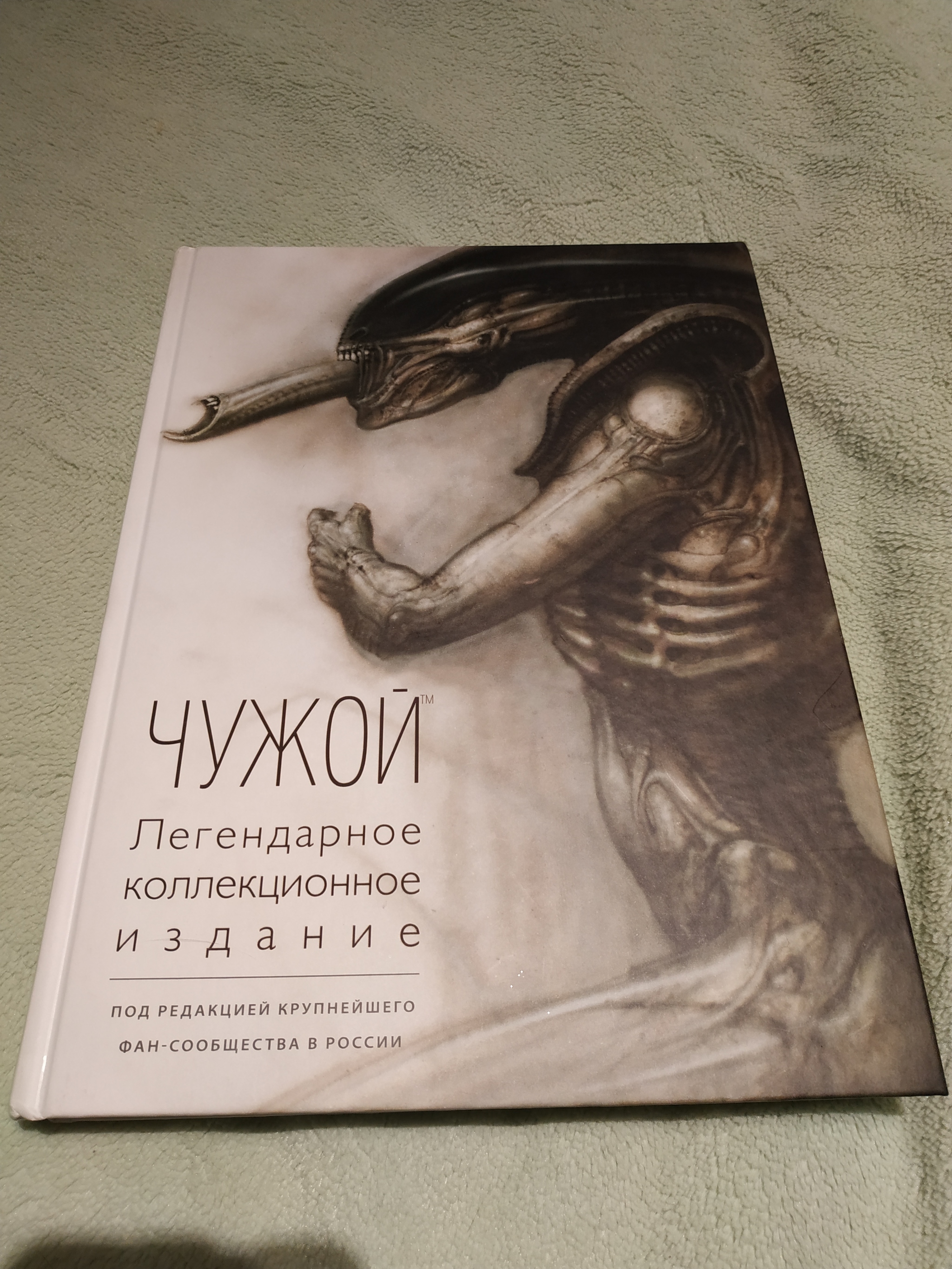 Обмен подарками. Хэллоуин - 2019 - Отчет по обмену подарками, Обмен подарками, Хэллоуин, Тайный Санта, Чужой, Длиннопост