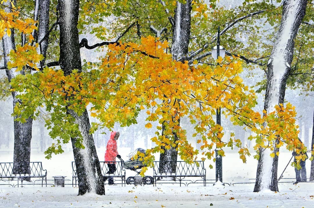 First snow - The photo, First snow, Alexander Petrosyan