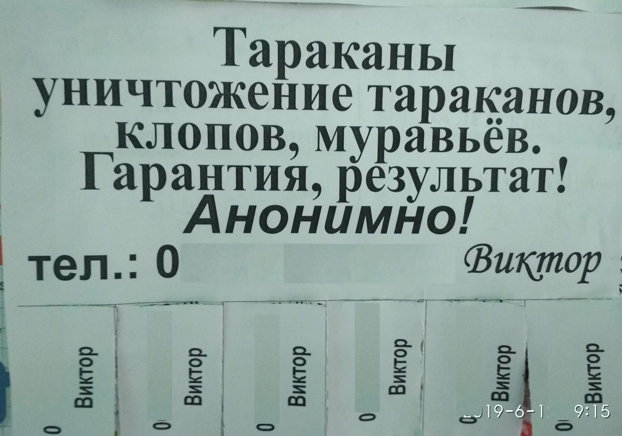 А Вы соблюдаете анонимность в борьбе тараканами? | Пикабу