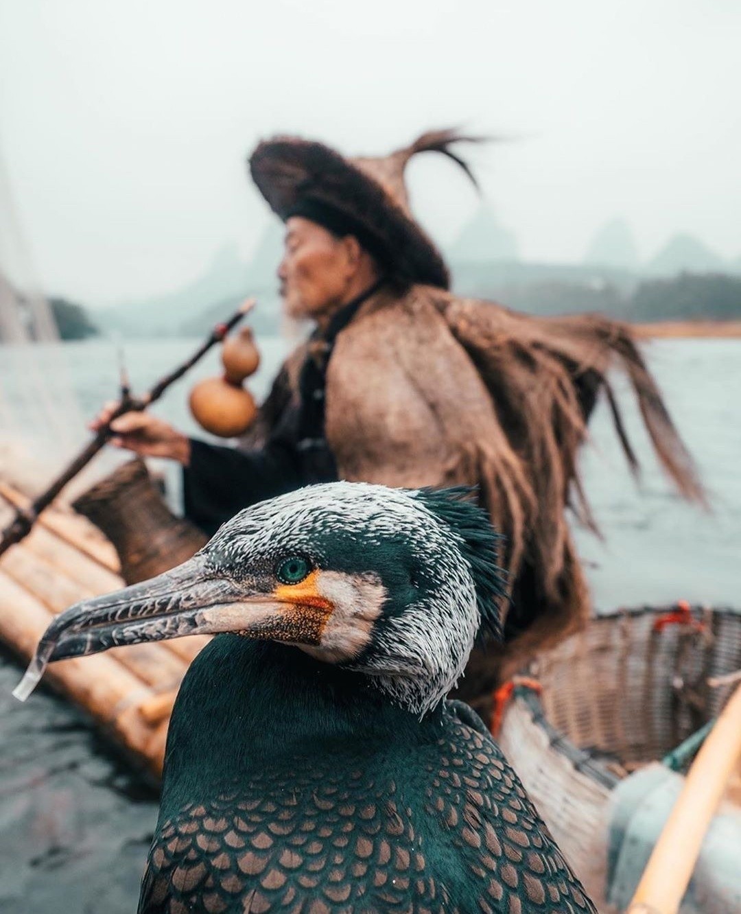 Color. - The photo, China, Yangshuo, Longpost