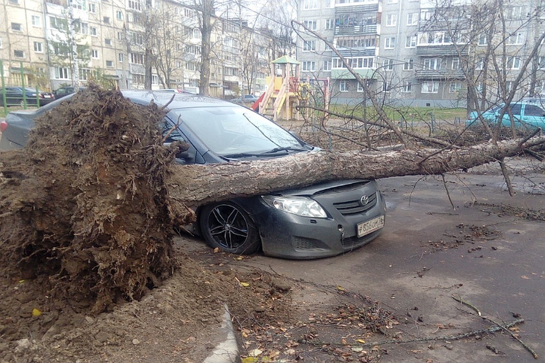 Hurricane in Yaroslavl: chronicle of a wild night - Yaroslavl, Hurricane, Video, The photo, Chronicle, Longpost