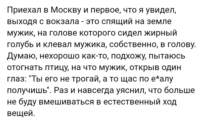 Как- то так 441... - Исследователи форумов, ВКонтакте, Скриншот, Подборка, Обо всем, Как-То так, Staruxa111, Длиннопост