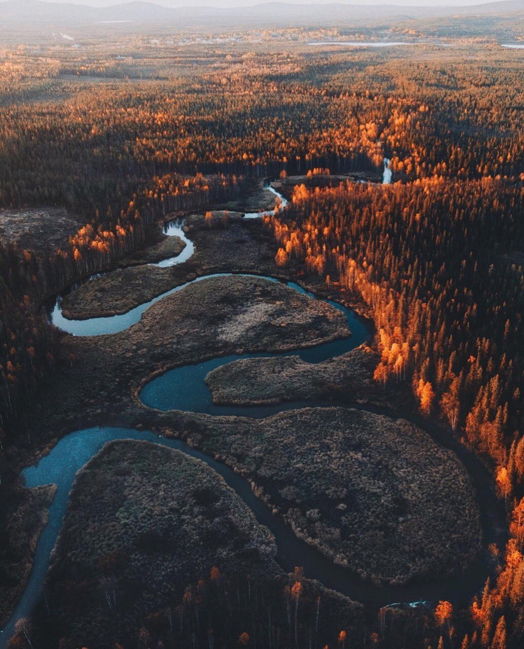 Forest, little forest... - My, Spirit of the forest, Longpost, Nature