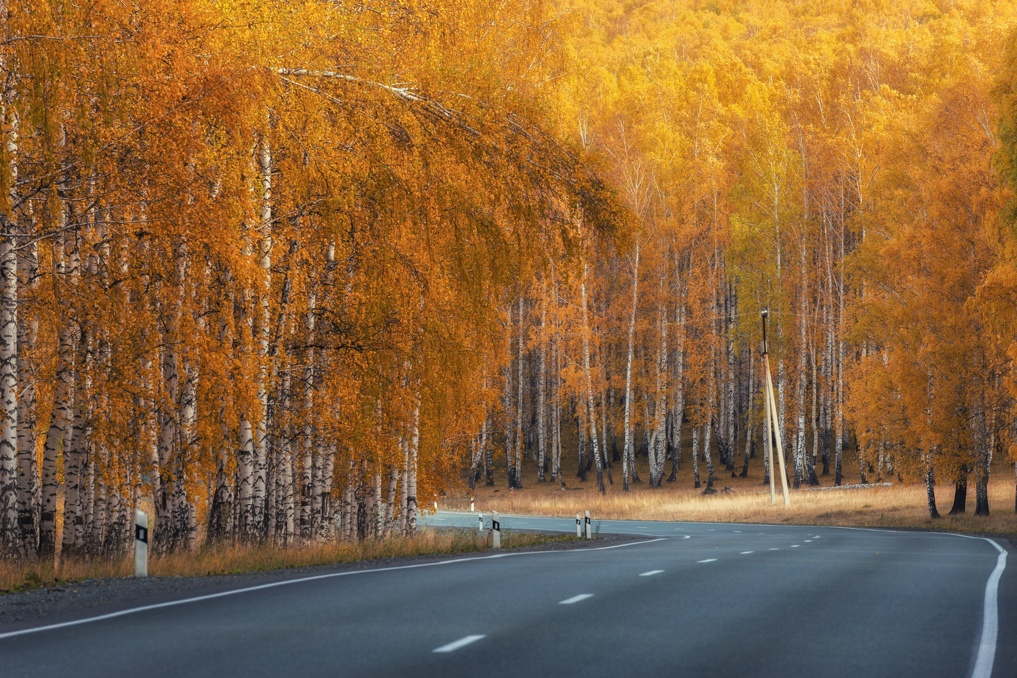 Autumn road - Autumn, Road, The photo, Chelyabinsk region, Foliage, Longpost