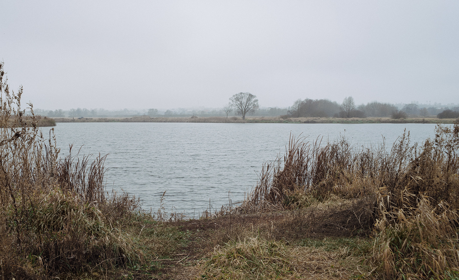 Welcome to November. - My, River, Autumn, November, Fog, Cold, Withering