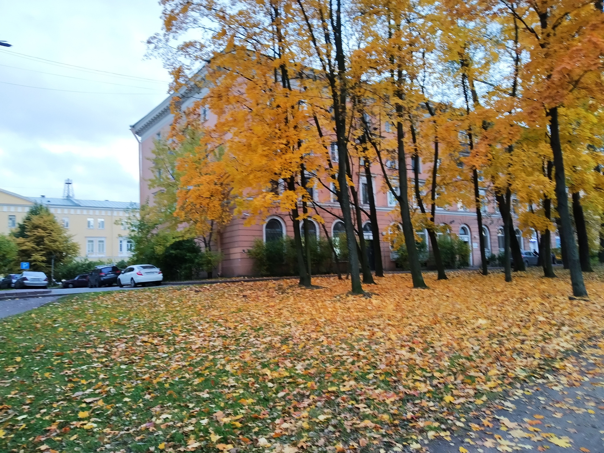 Как я переезжал из Новосибирска в Санкт-Петербург | Пикабу