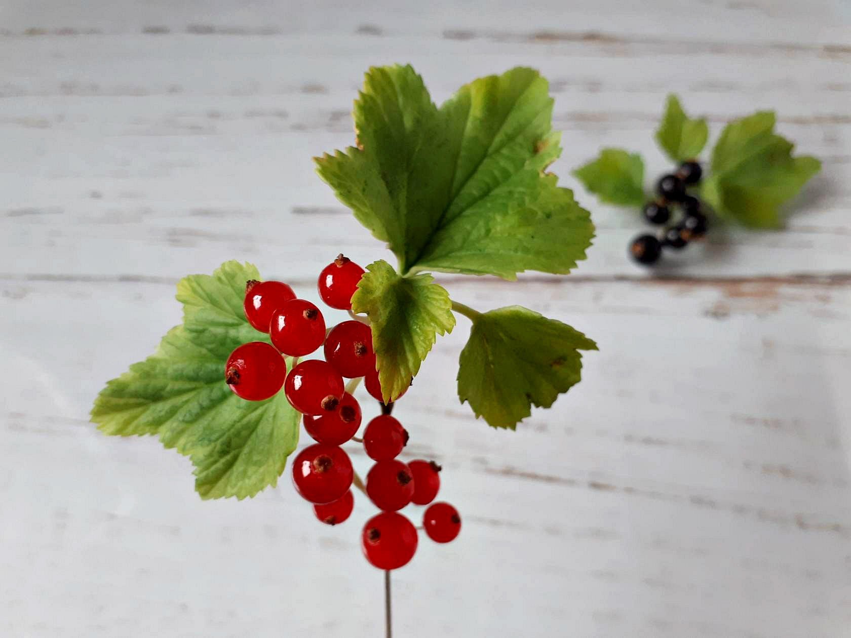 Inedible currants (berry brooches) - My, Needlework without process, Cold porcelain, Berries, Polymer clay, Currant, Brooch, Video, Longpost