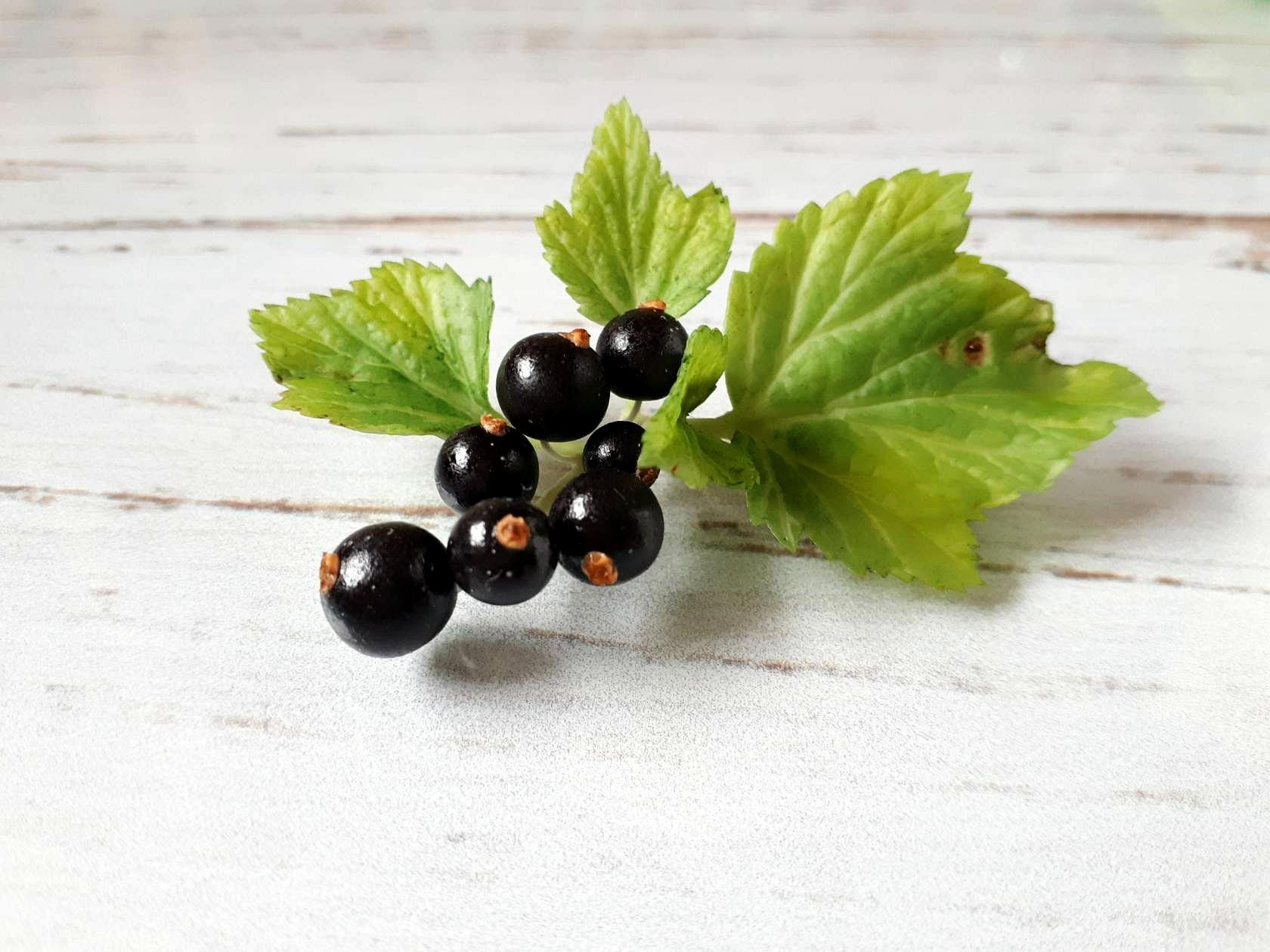 Inedible currants (berry brooches) - My, Needlework without process, Cold porcelain, Berries, Polymer clay, Currant, Brooch, Video, Longpost