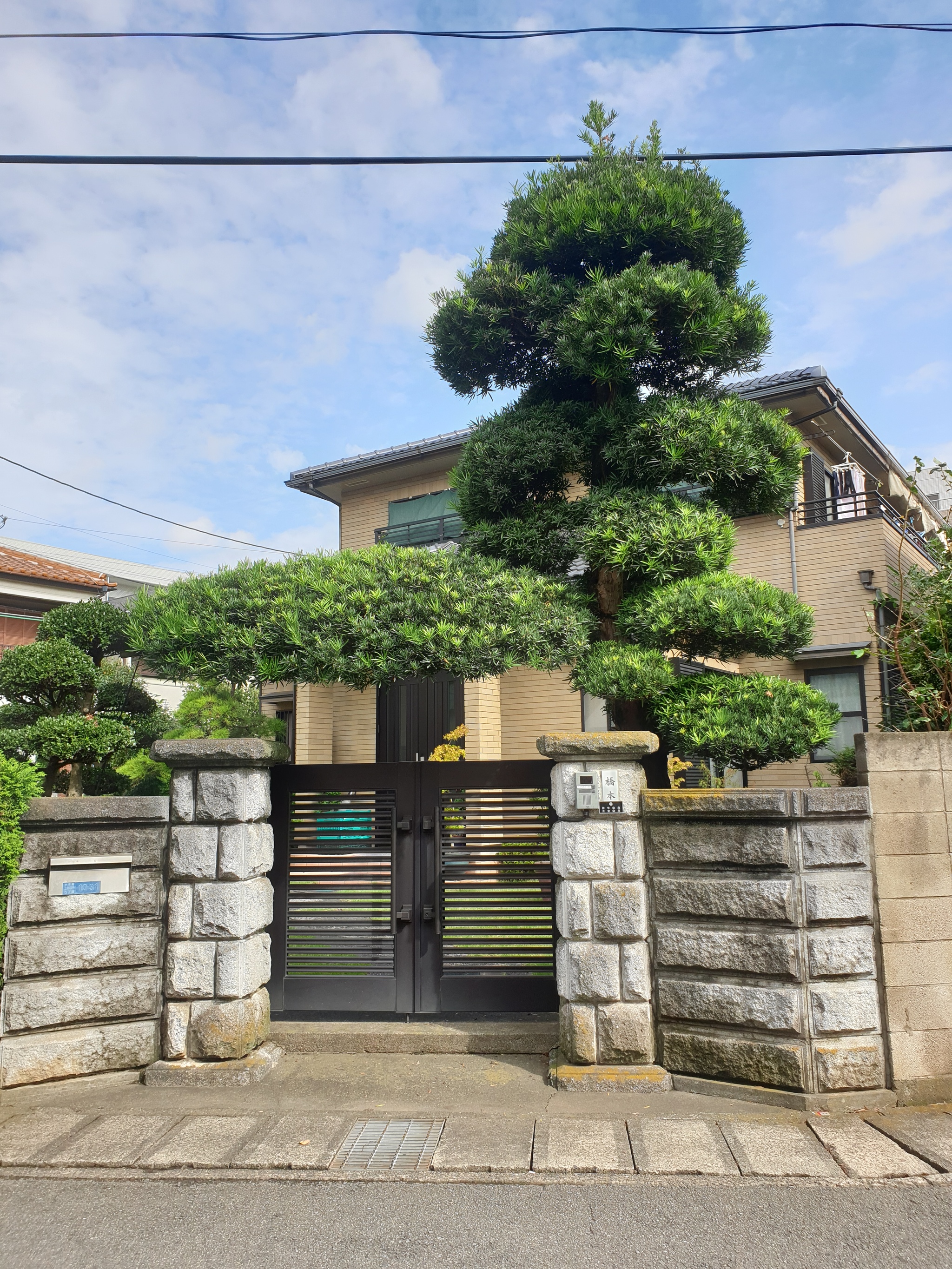 Japanese gardens - My, Japan, Gardens, Nature, Longpost