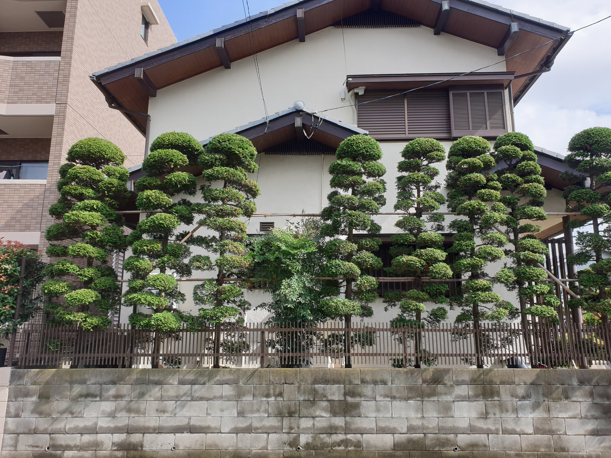 Japanese gardens - My, Japan, Gardens, Nature, Longpost