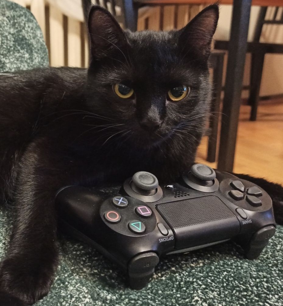 My turn! - Black cat, Game console, cat