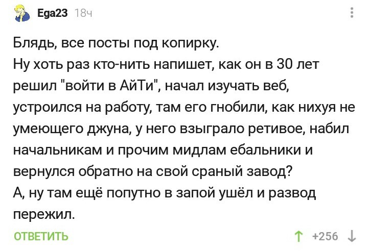 Дерзай бро - Комментарии, Комментарии на Пикабу, Айтишники, Программирование, Мат