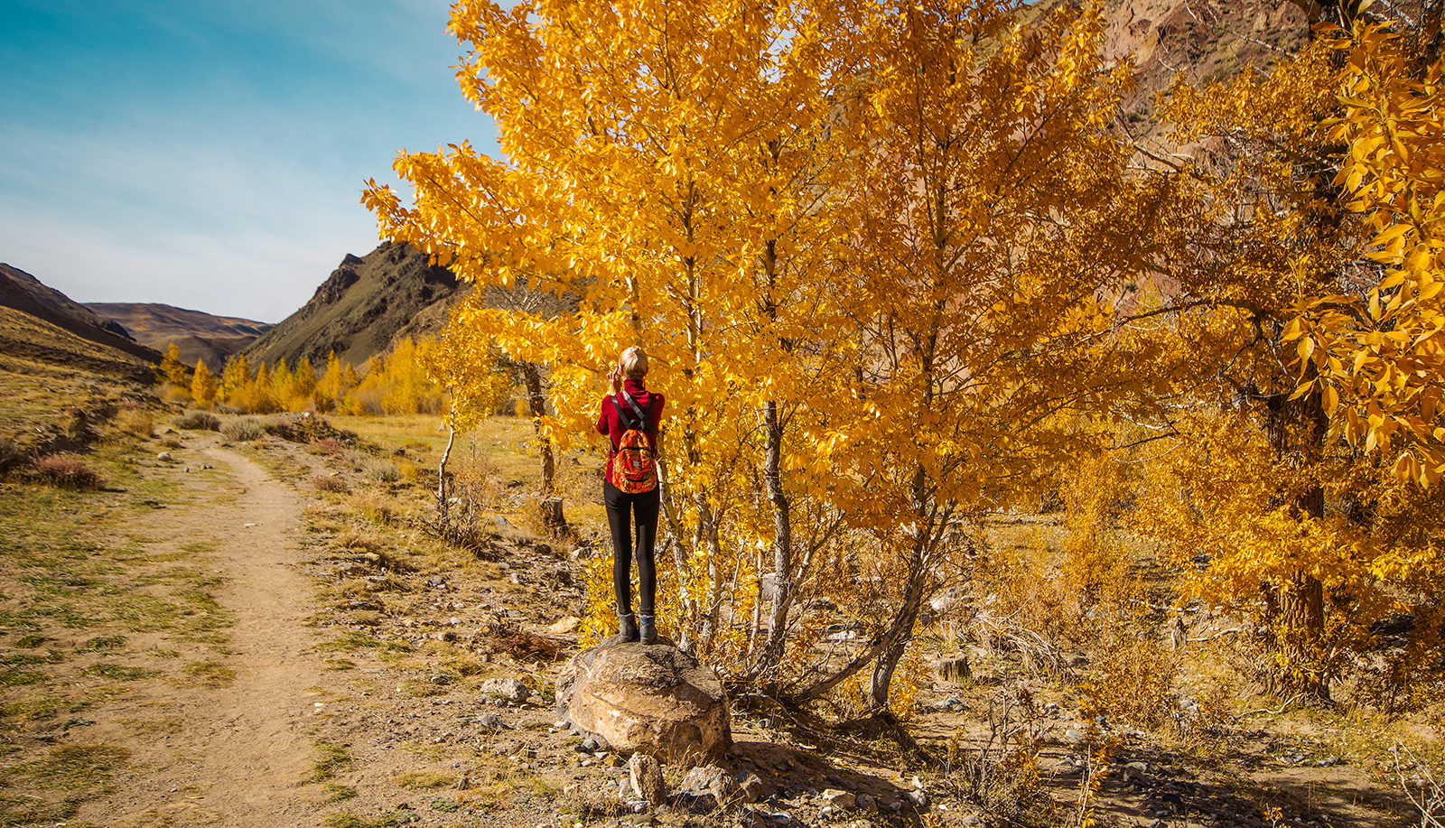 Altai, Mars-2 - My, Altai Republic, Travels, Michael, The photo, Tourism, Landscape, Siberia, Longpost