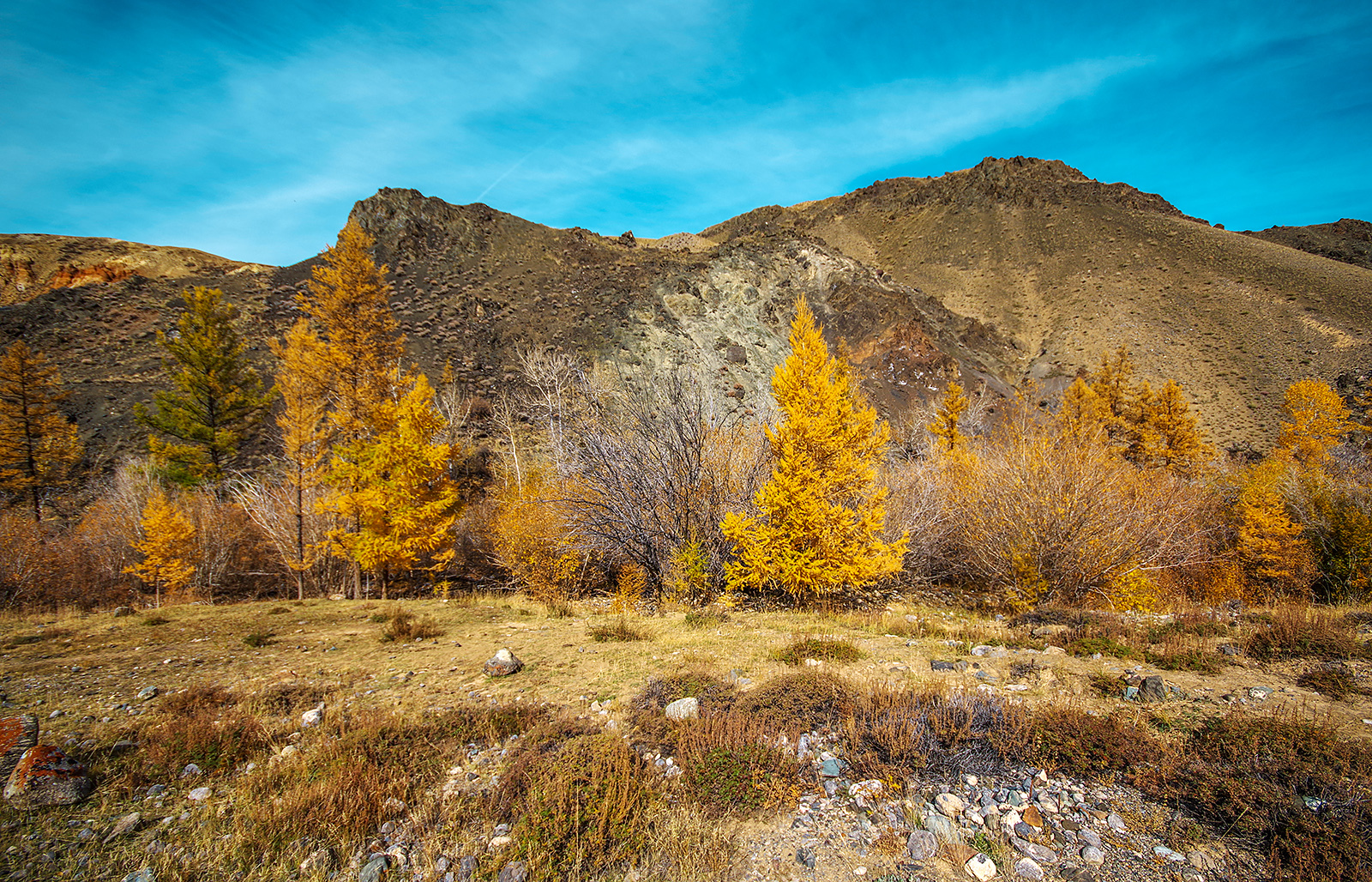 Altai, Mars-2 - My, Altai Republic, Travels, Michael, The photo, Tourism, Landscape, Siberia, Longpost