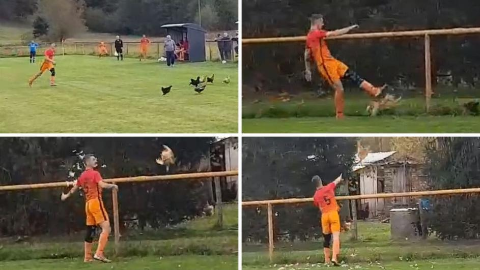 A Croatian amateur league player killed a chicken during a match - Football, Hen