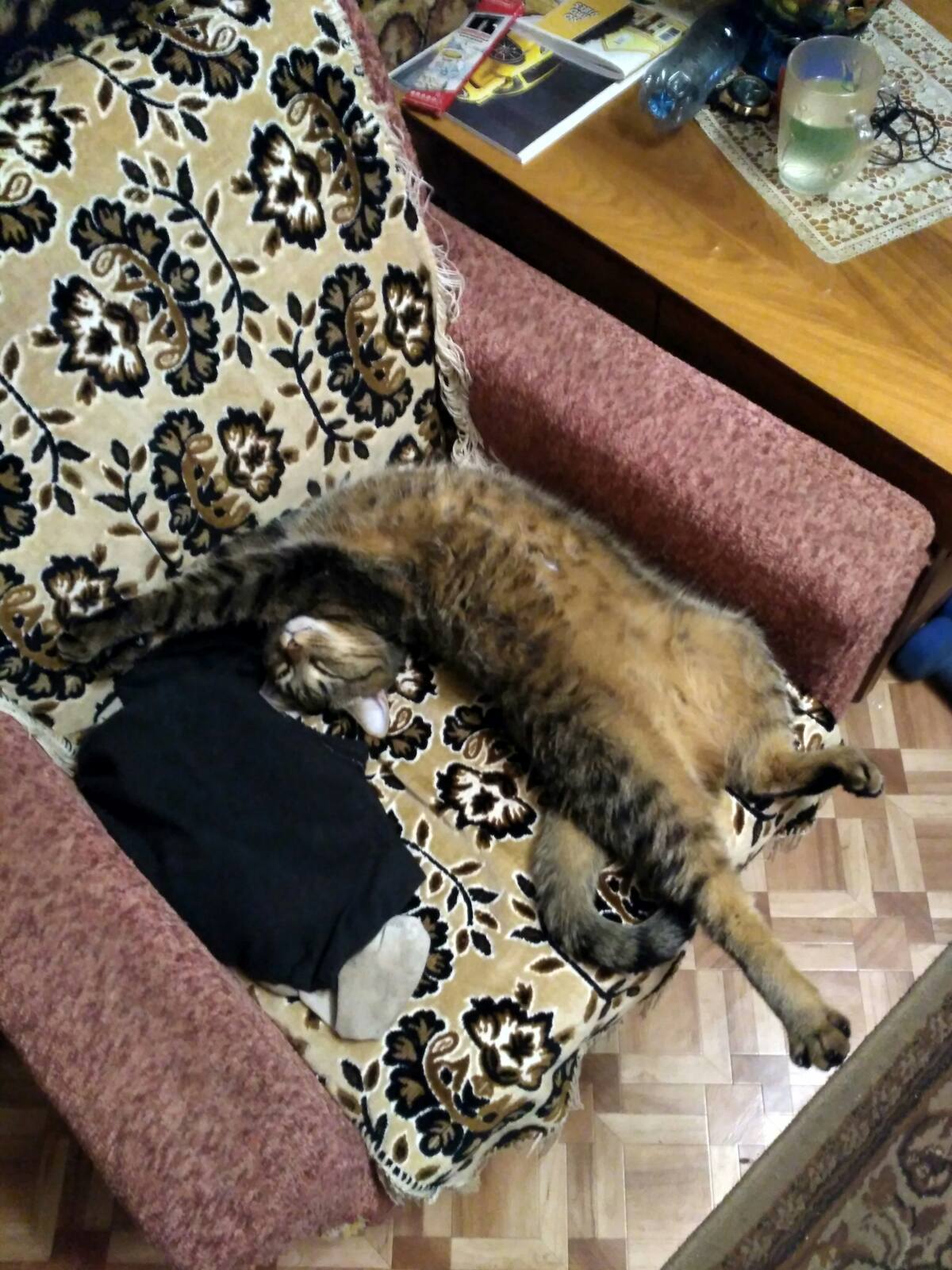 Convenient Kapets! 3.0 - My, cat, Lucky, Lucky, Armchair, Fell apart, Convenience, As it is convenient for everyone, Relatively convenient, Video, Longpost