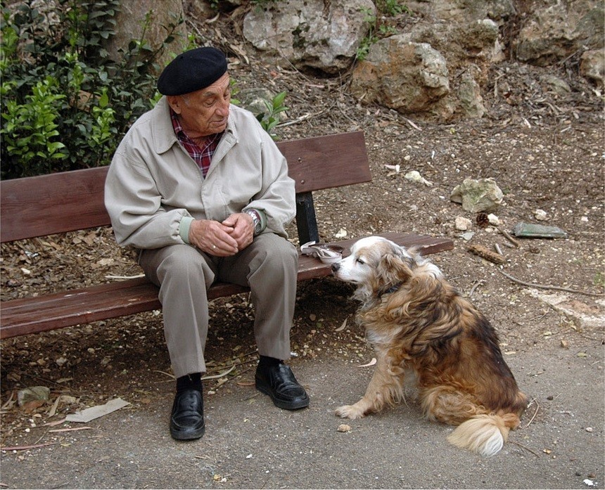 Old man and dog - My, Dog, Story, Sadness, Longpost, Old men, Author's story