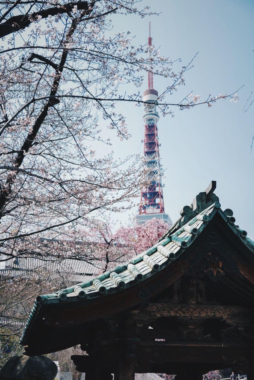 Tokyo tower - Japan, Facts, Travels, The photo, Images, Asia, Longpost