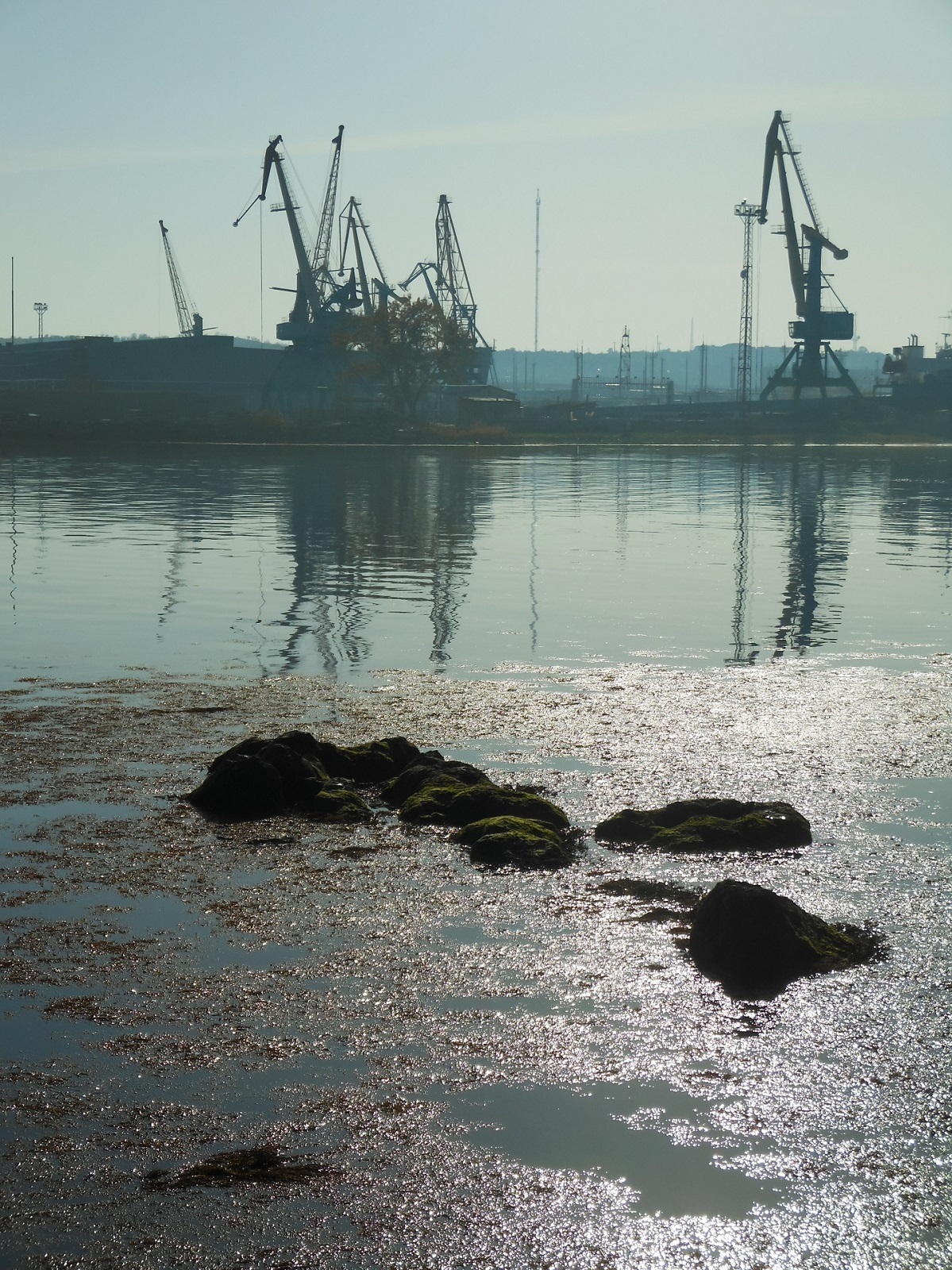 November 8. Embankment - My, The photo, Crimea, Kerch, Sea, Fog, Longpost