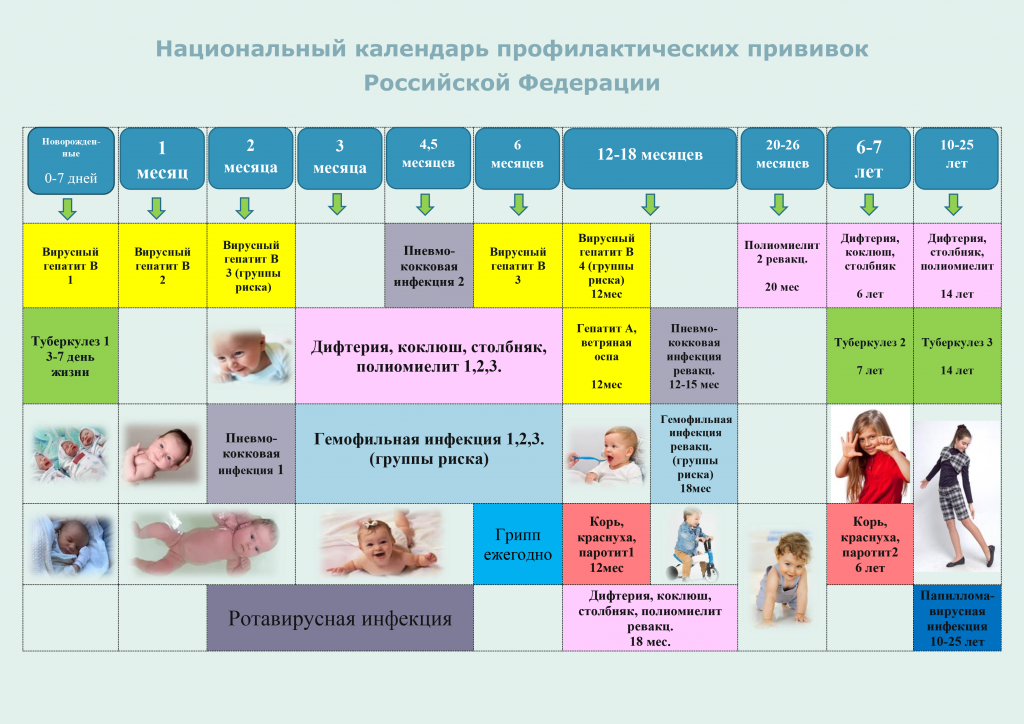 О прививках без сенсаций | Пикабу