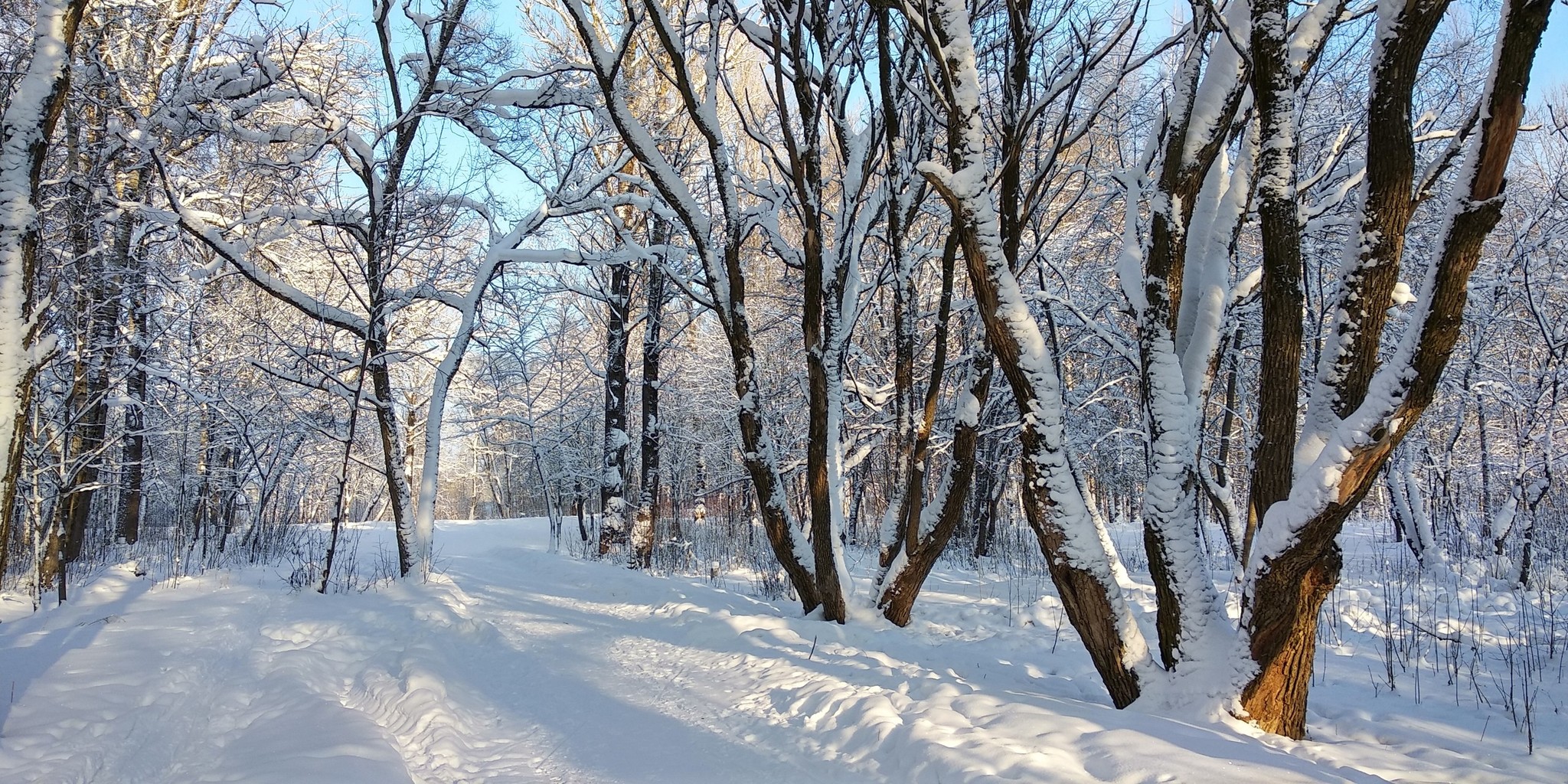 Зима 2018 в Красном Селе (СПб) | Пикабу