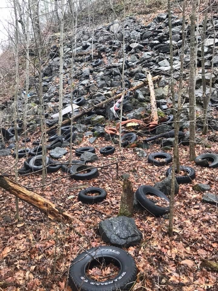 Now this place is wildly beautiful - Tires, Pollution, Longpost, Virginia