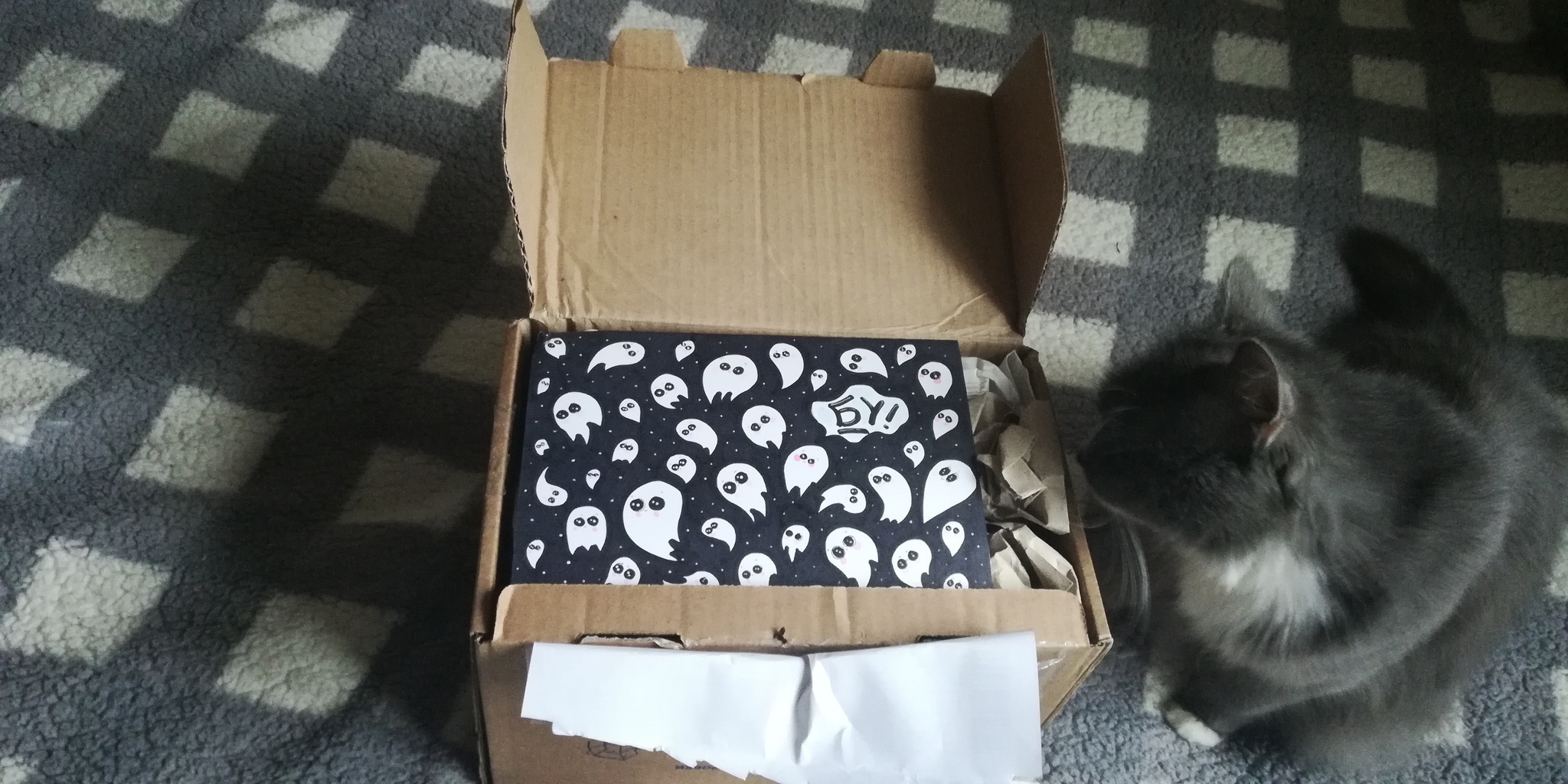 #Halloween2019 Exchange from Moscow Region. - My, Halloween, Gift exchange, Longpost