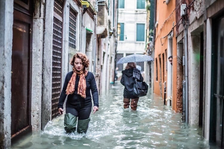 Venice is flooded: everyone is worried, but this is not the first time for the city - A life, Venice, Потоп, Flood, Disgusting Men, Video, Longpost