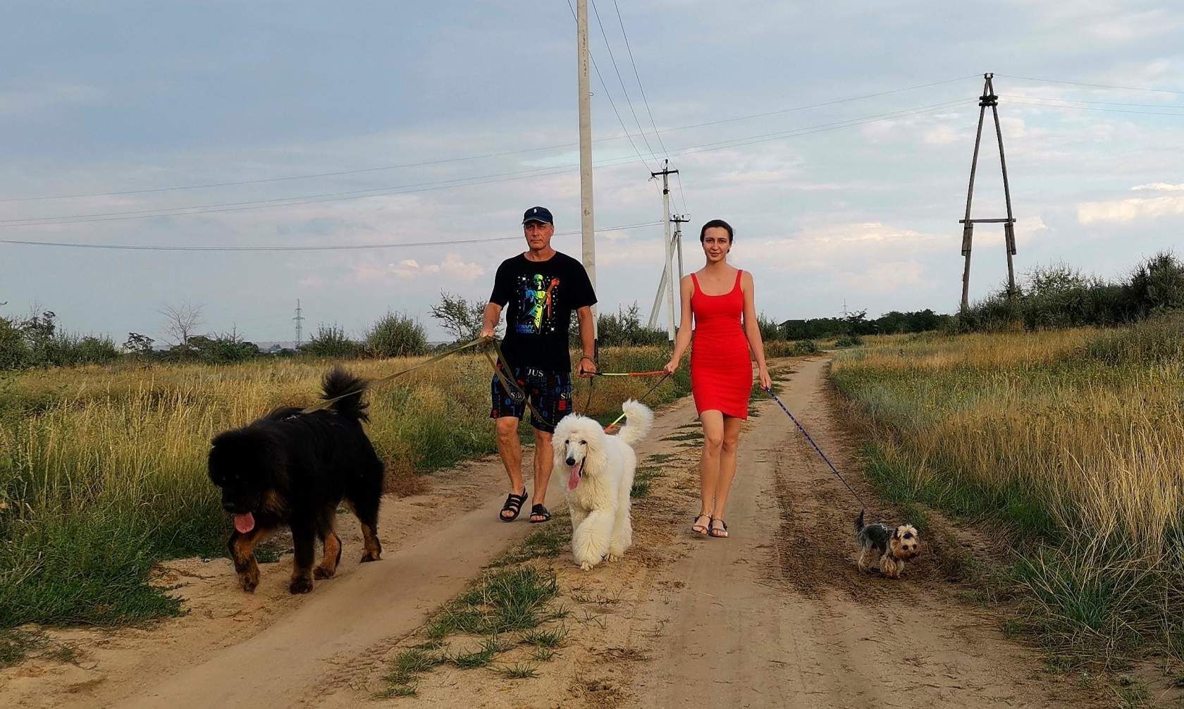 White poodle, or dreams must come true! - My, Dog, Family, Longpost, White, Poodle, Royal Poodle