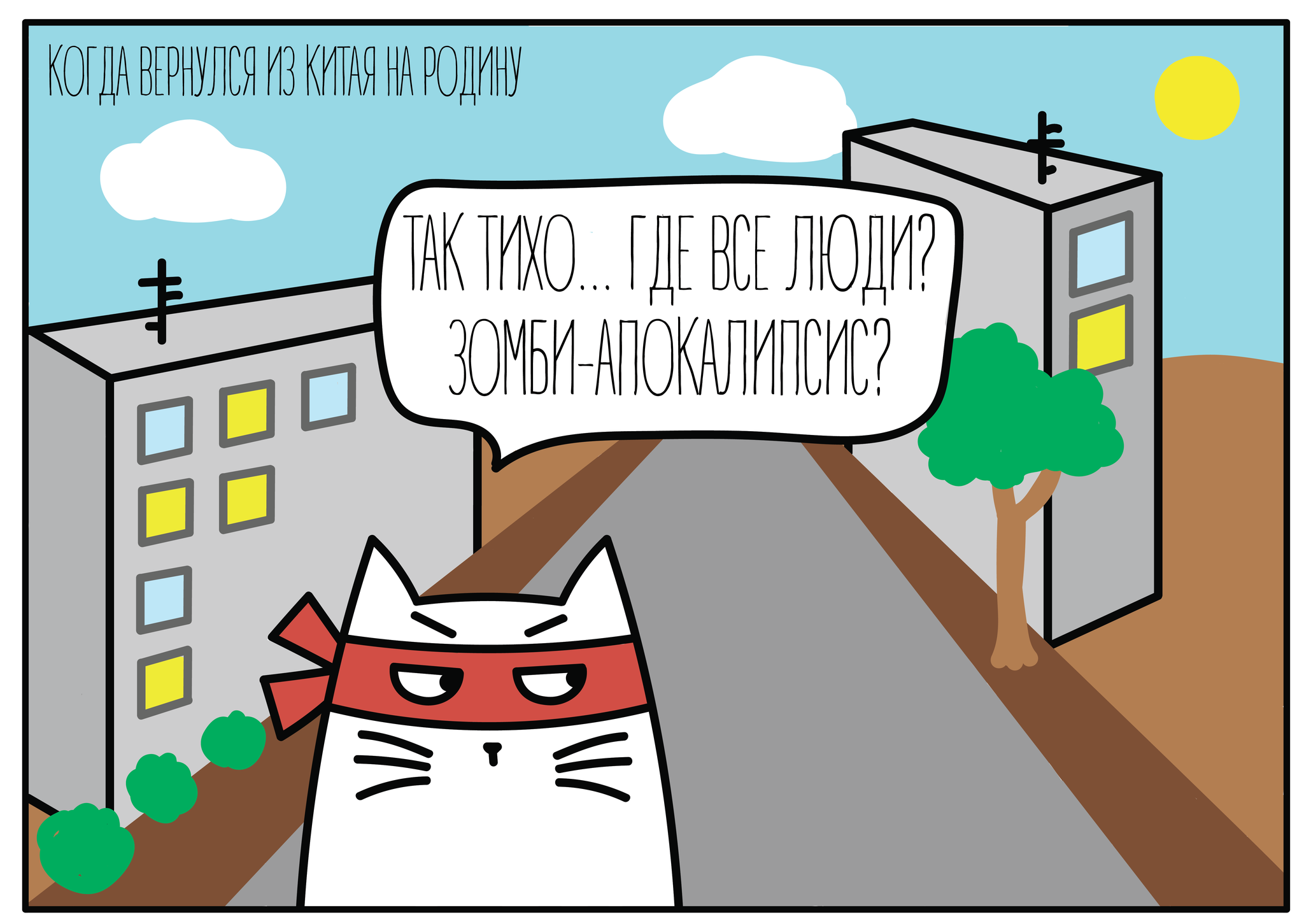 Return from China - My, Comics, China, cat, Longpost