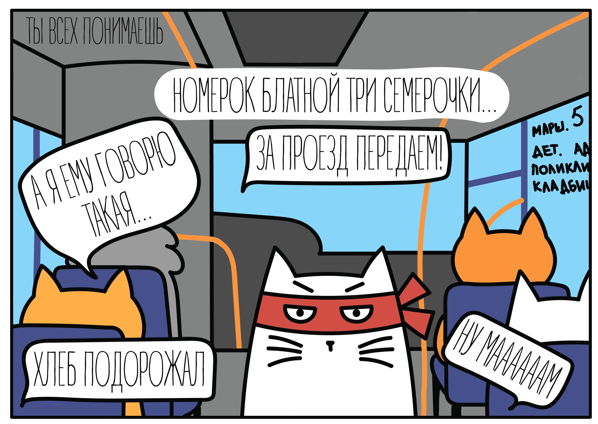 Return from China - My, Comics, China, cat, Longpost