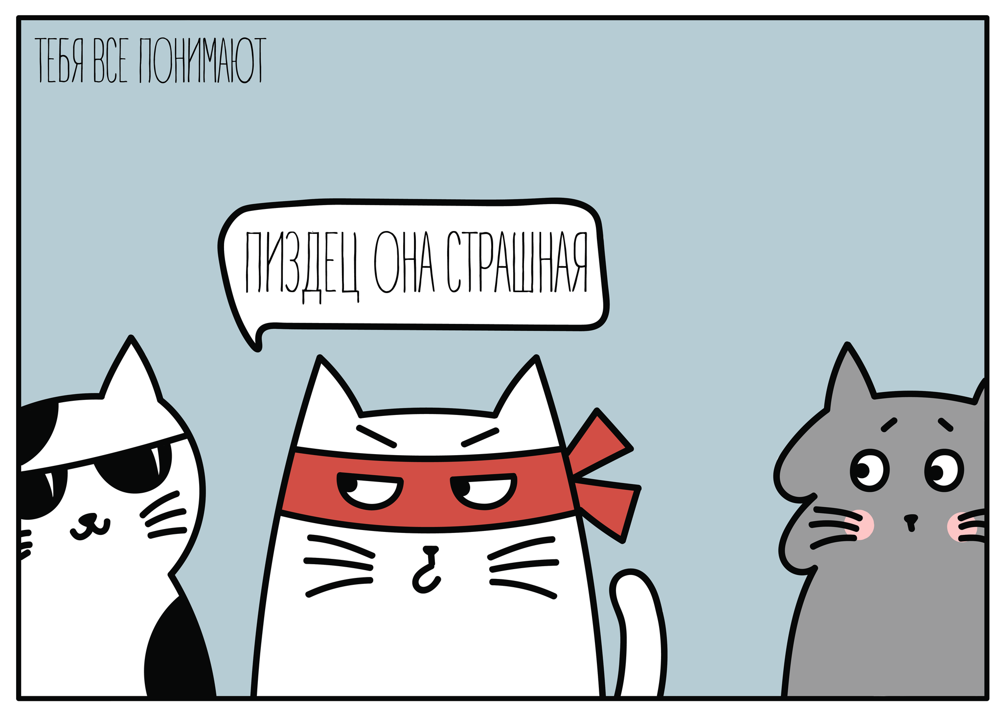 Return from China - My, Comics, China, cat, Longpost