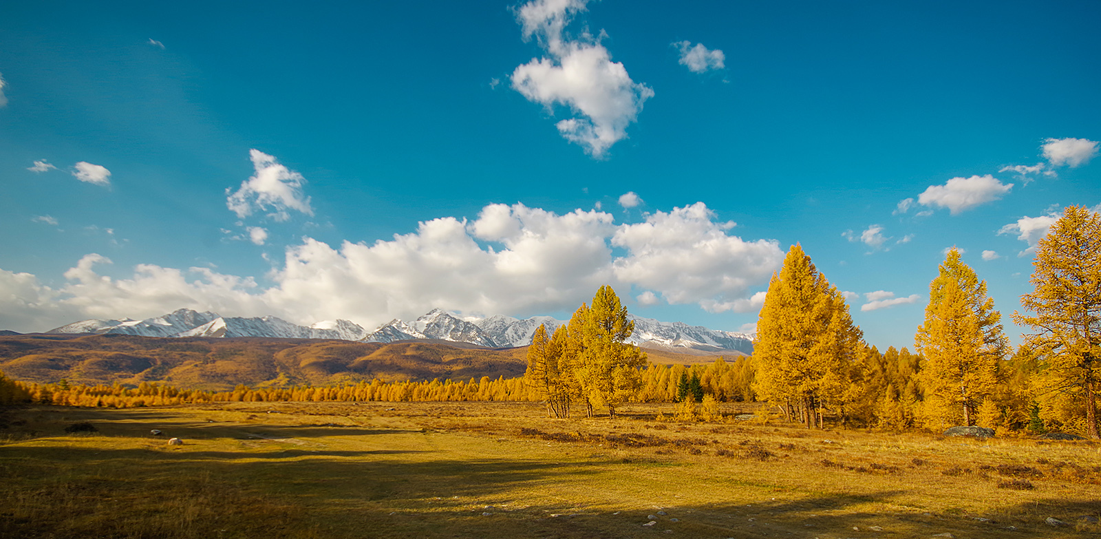 Lake Karakol and nearby - My, Altai Republic, Travels, Michael, Photo tour, Holidays in Russia, Leisure, Tourism, The photo, Longpost, Summer