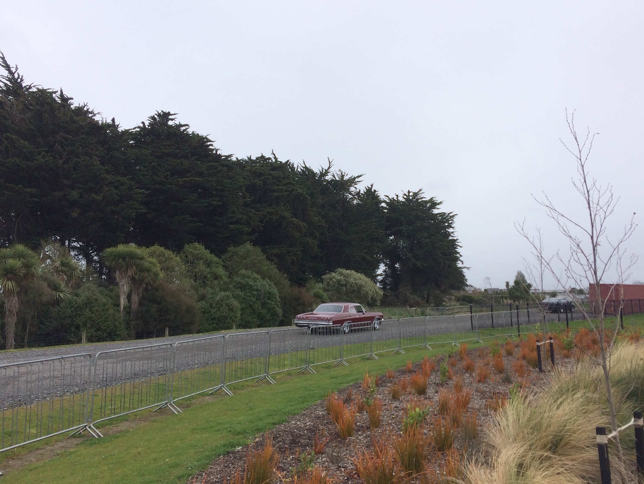 We circle and circle around the area... - My, Chevrolet impala, Automotive classic, American auto industry, classic cars