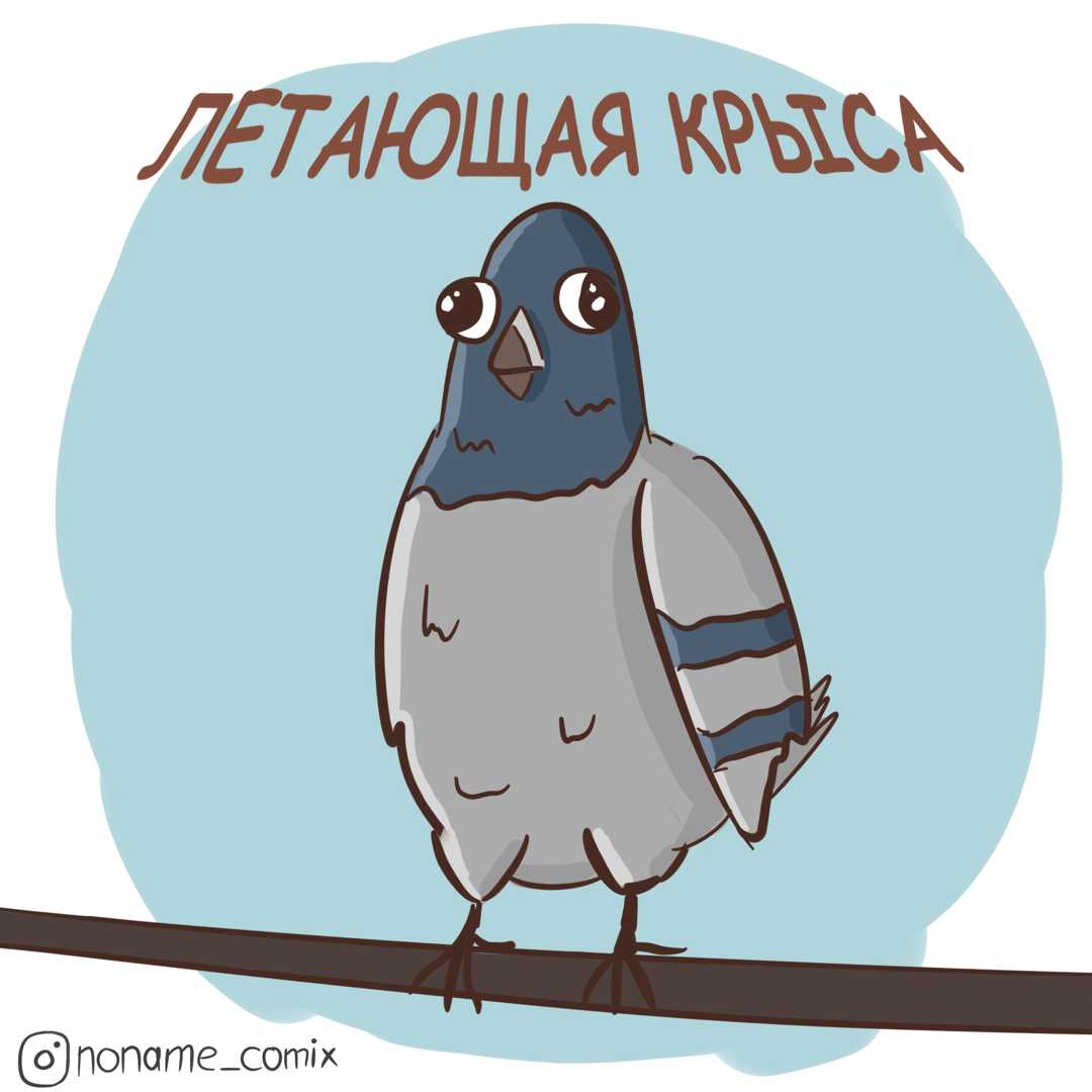 I've finished it, my dear! - My, Web comic, Comics, Traffic rules, Pigeon, Assistant to Moscow, Longpost