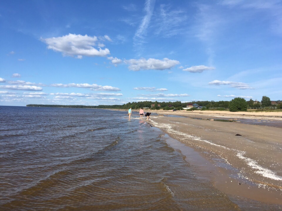 Trashtag “Rybinsk Reservoir”. - My, Saturday clean-up, Pure Man's League, Garbage, Rybinsk, Rybinsk Reservoir, Moto, Africa, Yaroslavskaya oblast, Longpost