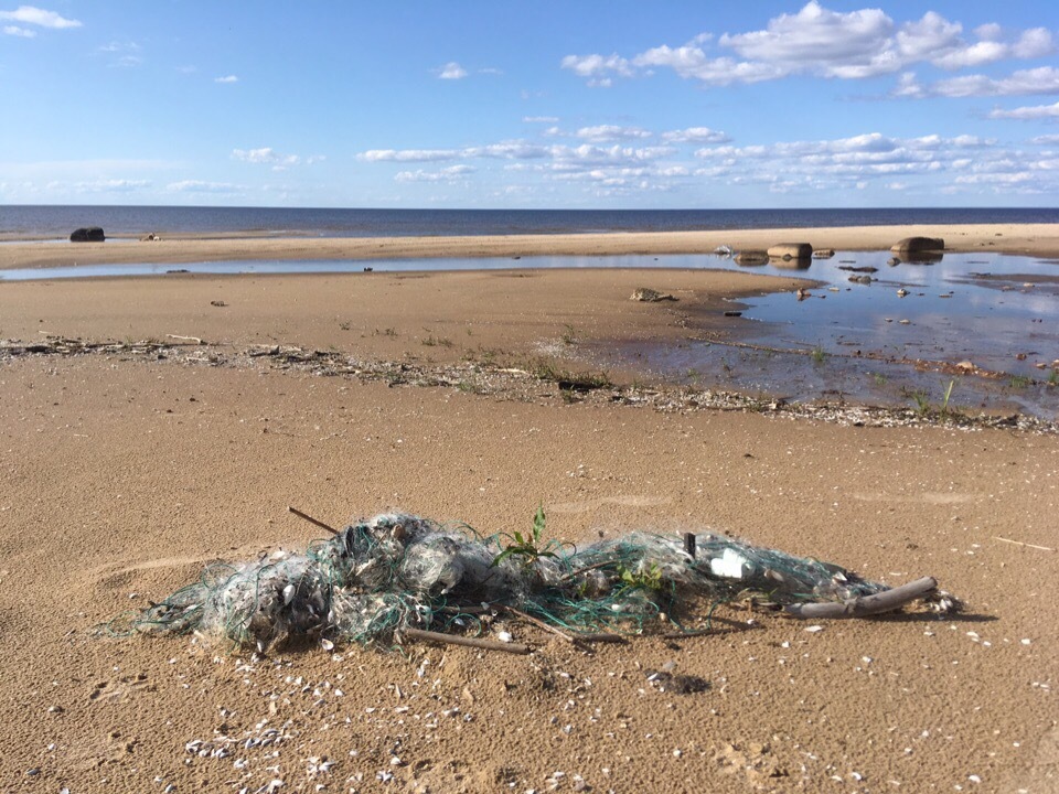 Trashtag “Rybinsk Reservoir”. - My, Saturday clean-up, Pure Man's League, Garbage, Rybinsk, Rybinsk Reservoir, Moto, Africa, Yaroslavskaya oblast, Longpost